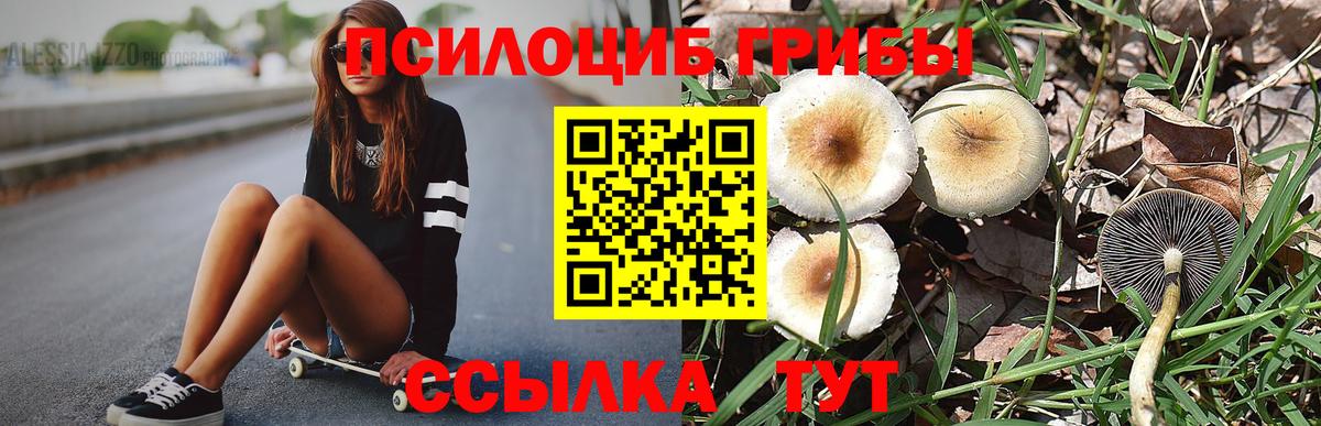 Калач-на-Дону  Псилоцибиновые грибы MAGIC MUSHROOMS  Вход с VPN  Галлюциногенные грибы MAGIC MUSHROOMS 
